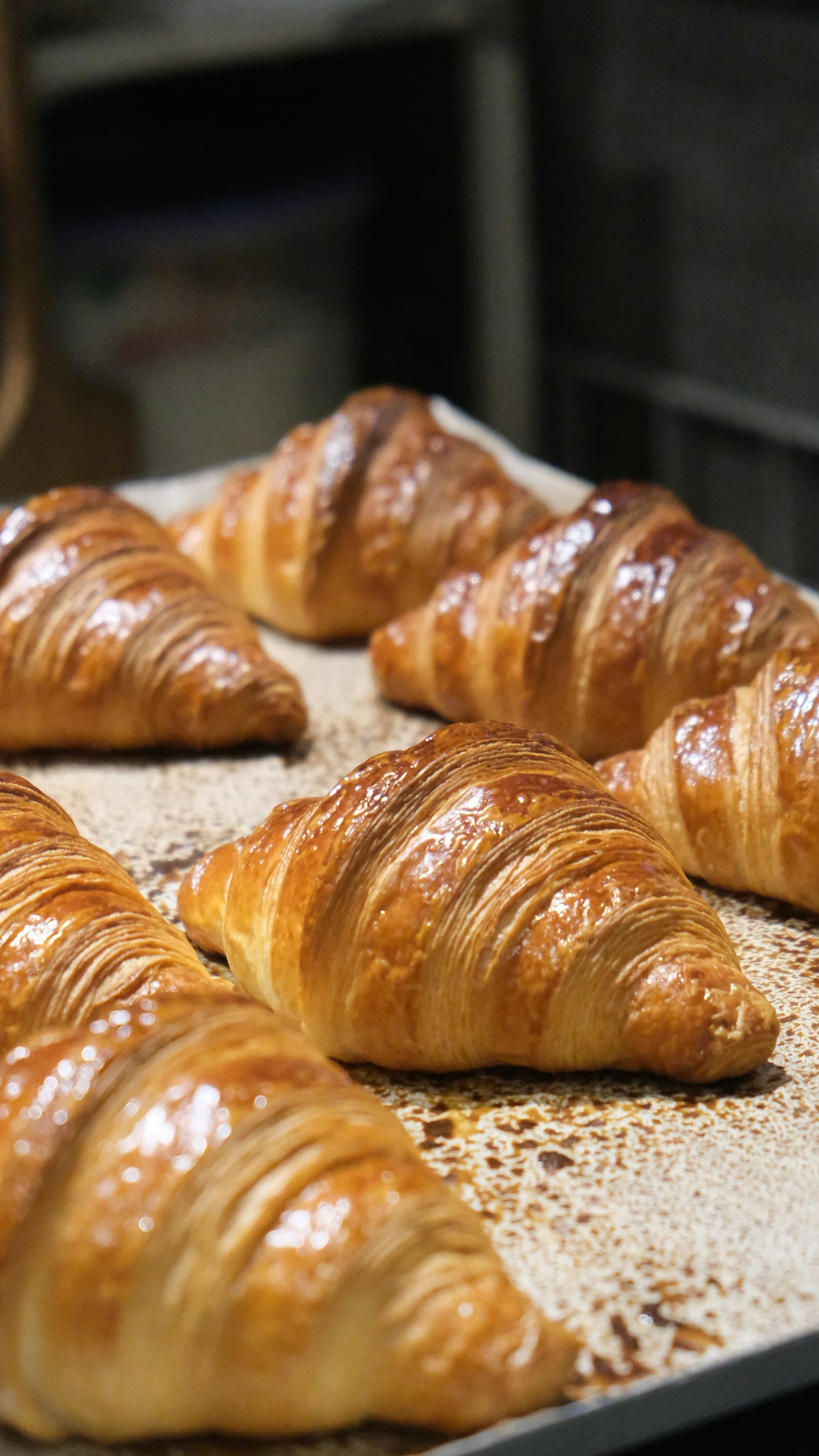 Bakery-Case Croissants