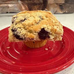 Fresh Baked Muffin