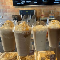 Paradise Chipper Blender