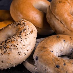 Bagel Only